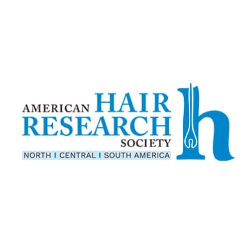 logo american hair research 1